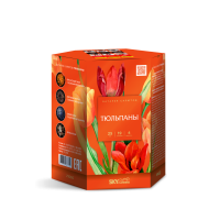 Тюльпаны Салют купить в Волгограде | volgograd.salutsklad.ru