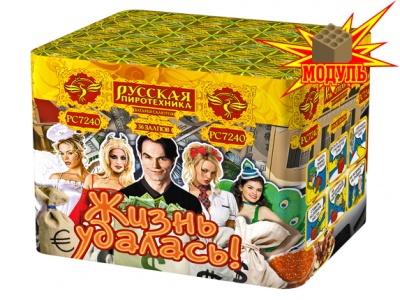 Жизнь удалась Фейерверк купить в Волгограде | volgograd.salutsklad.ru