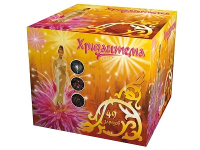 Хризантема Салют купить в Волгограде | volgograd.salutsklad.ru