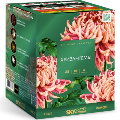 Хризантемы Фейерверк купить в Волгограде | volgograd.salutsklad.ru