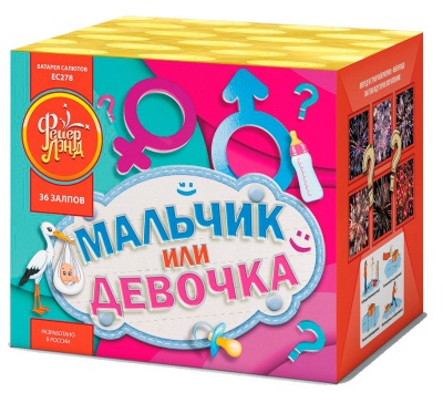 Мальчик или девочка М Фейерверк купить в Волгограде | volgograd.salutsklad.ru